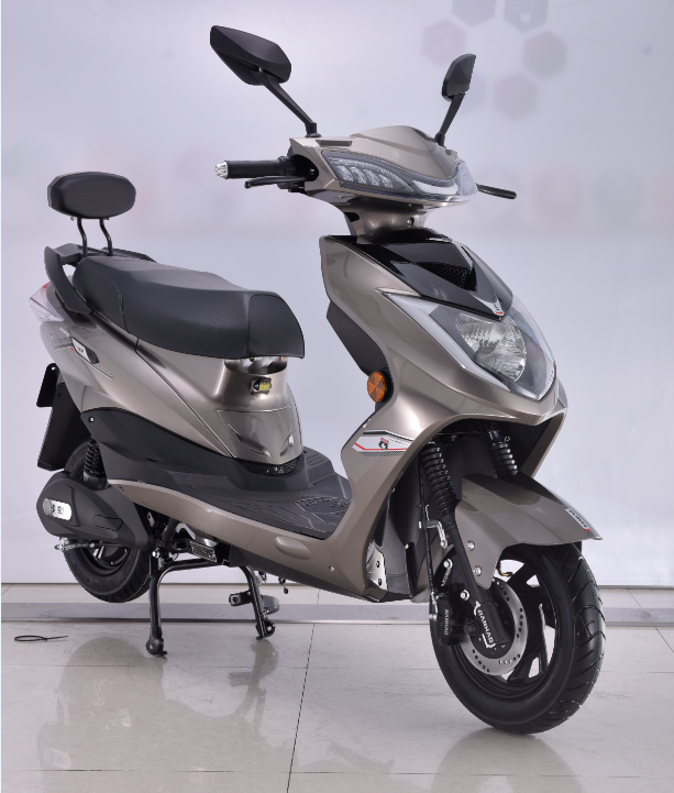 Electric motorcycle for adult