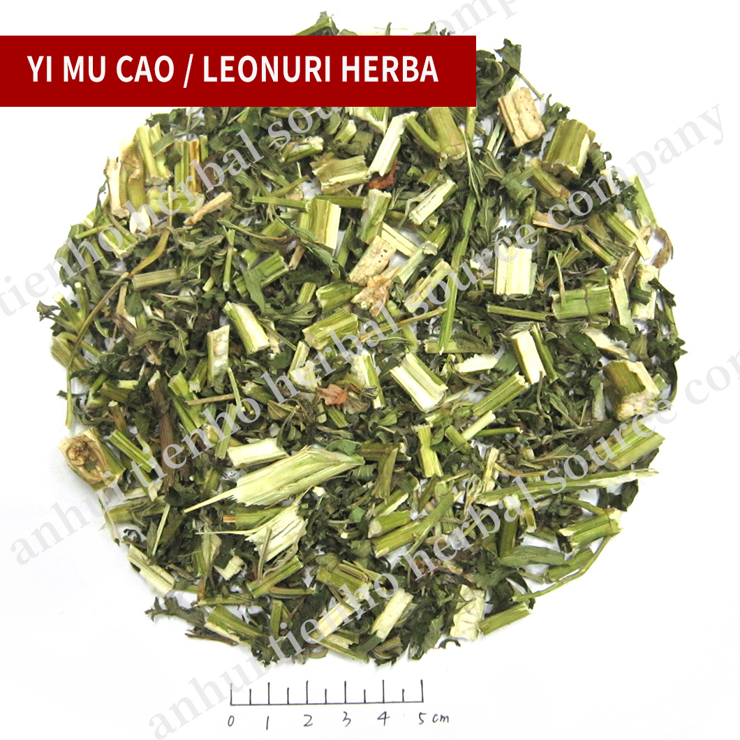 Leonuri Herba