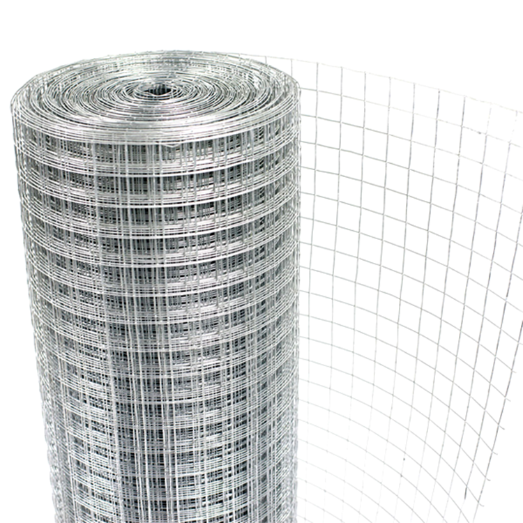 Welded wire mesh ,Galvanized welded wire mesh roll