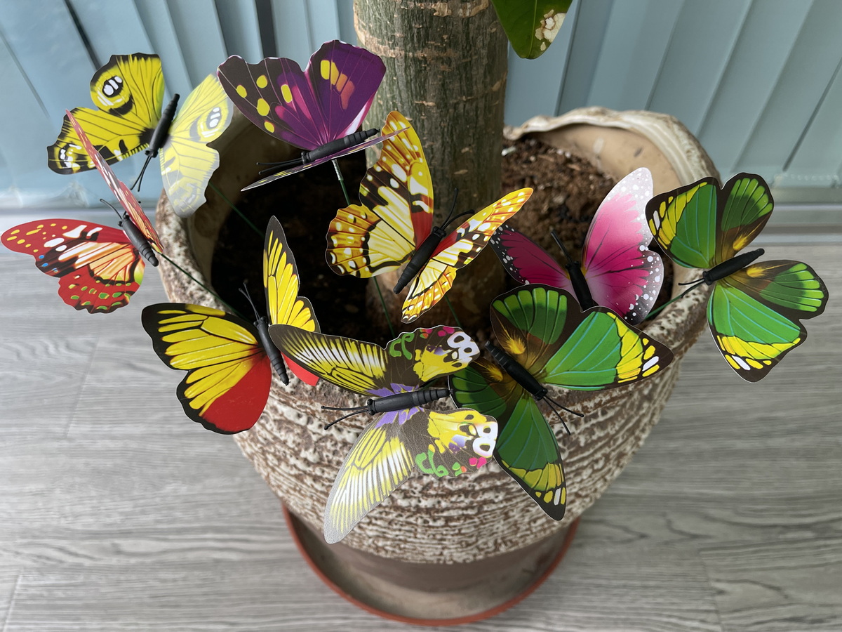 Pot butterfly insect plug-in