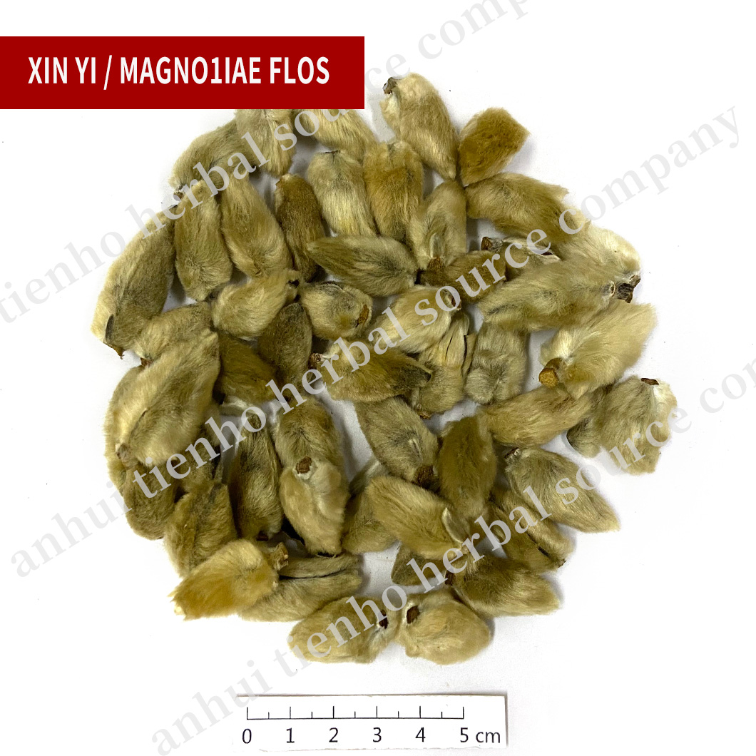 Magnoliae Flos