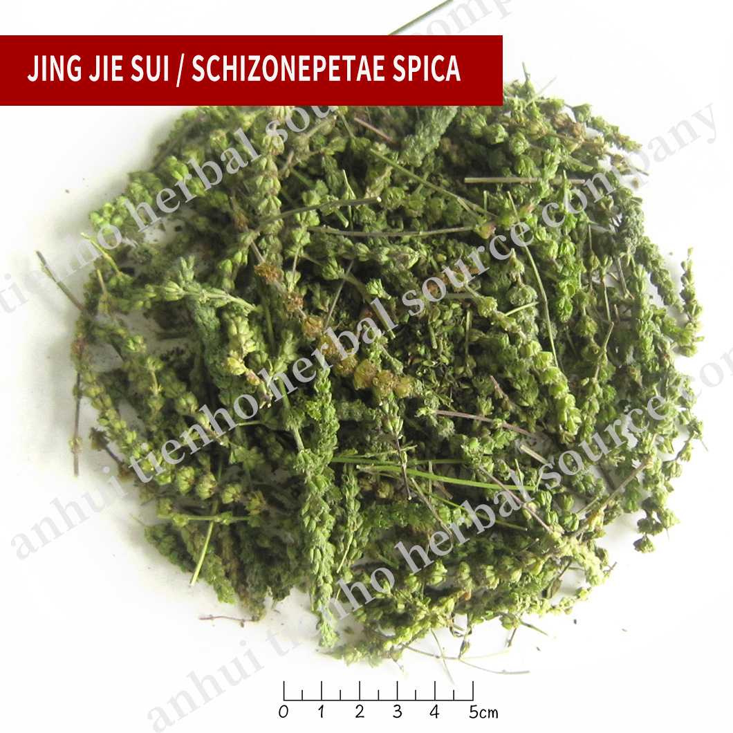 Schizonepetae Spica