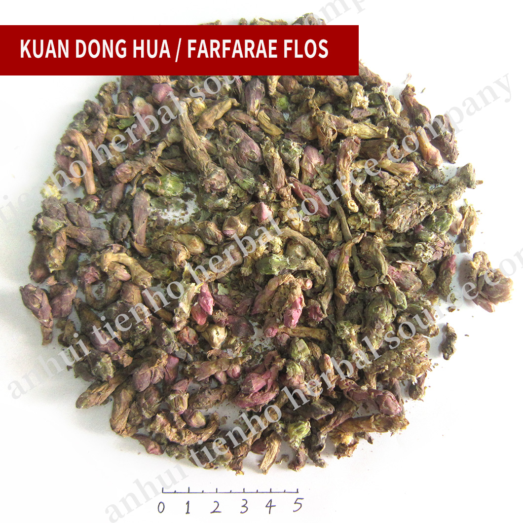Farfarae Flos