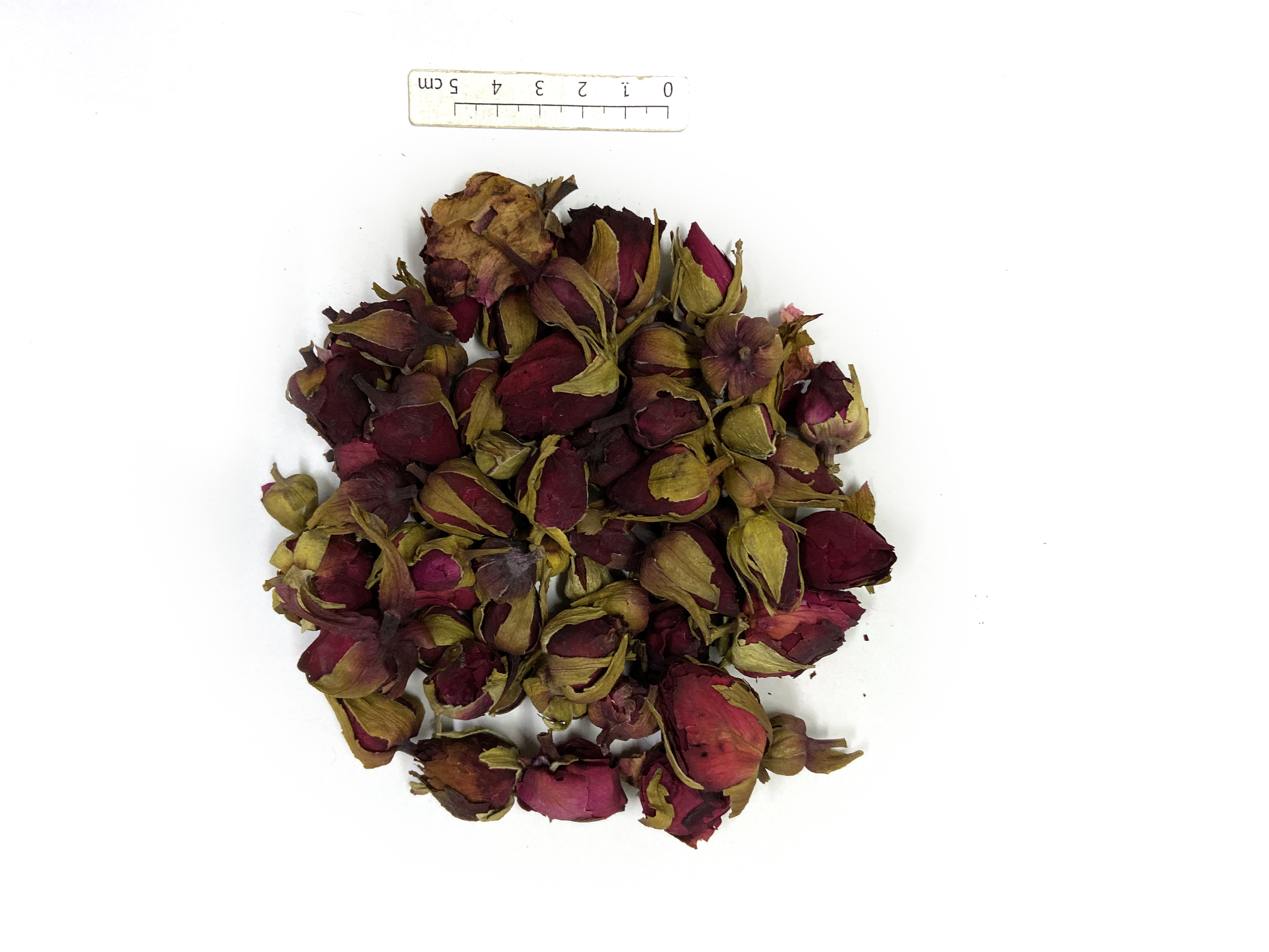 Rosae Chinensis Flos