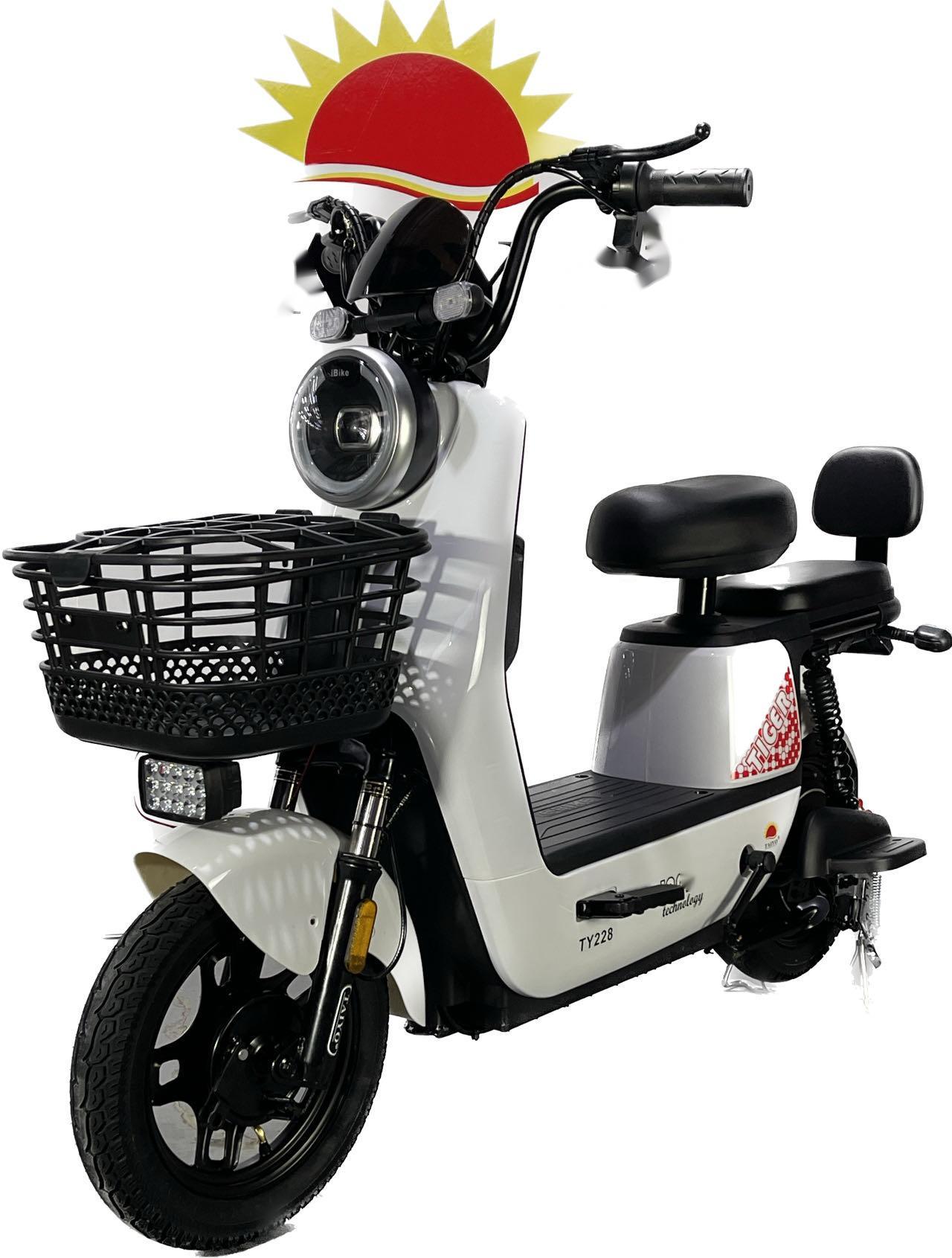Willstar Electric Bicycle