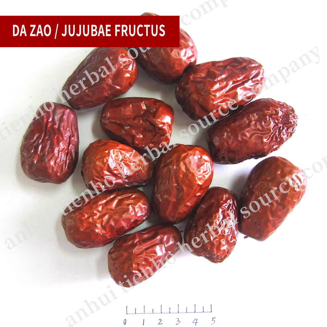 Jujubae Fructus