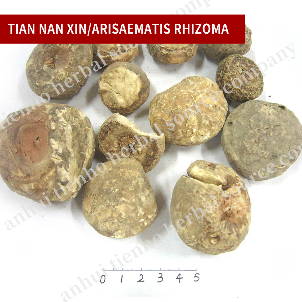 Arisaematis Rhizoma