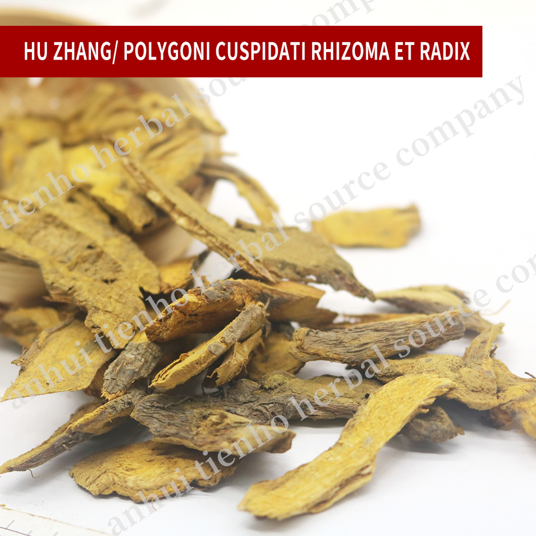 Polygoni Cuspidati Rhizoma Et Radix