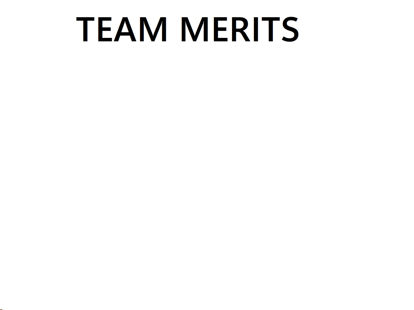 DONGTAI MERITS GARMENTS CO;LTD