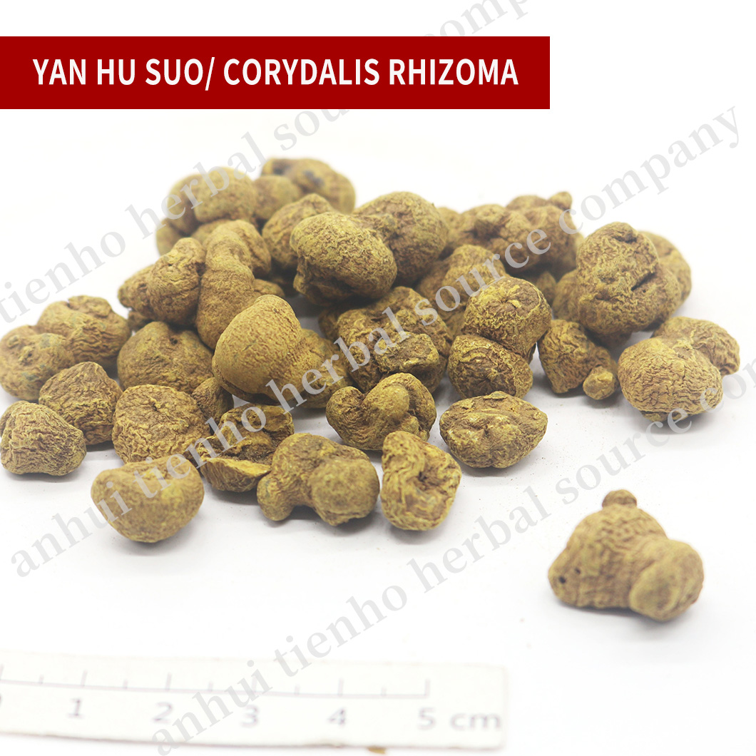 Corydalis Rhizoma
