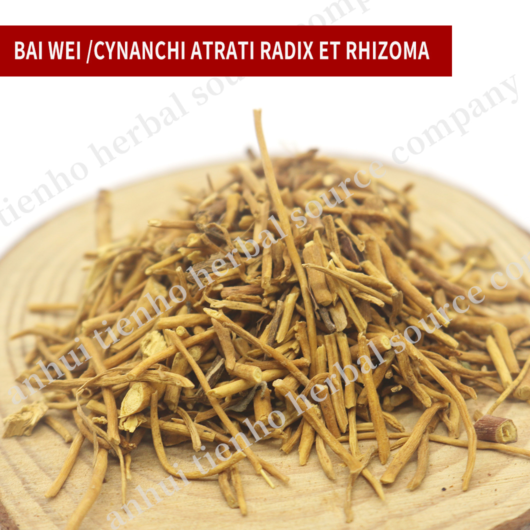 Cynanchi Atrati Radix Et Rhizoma