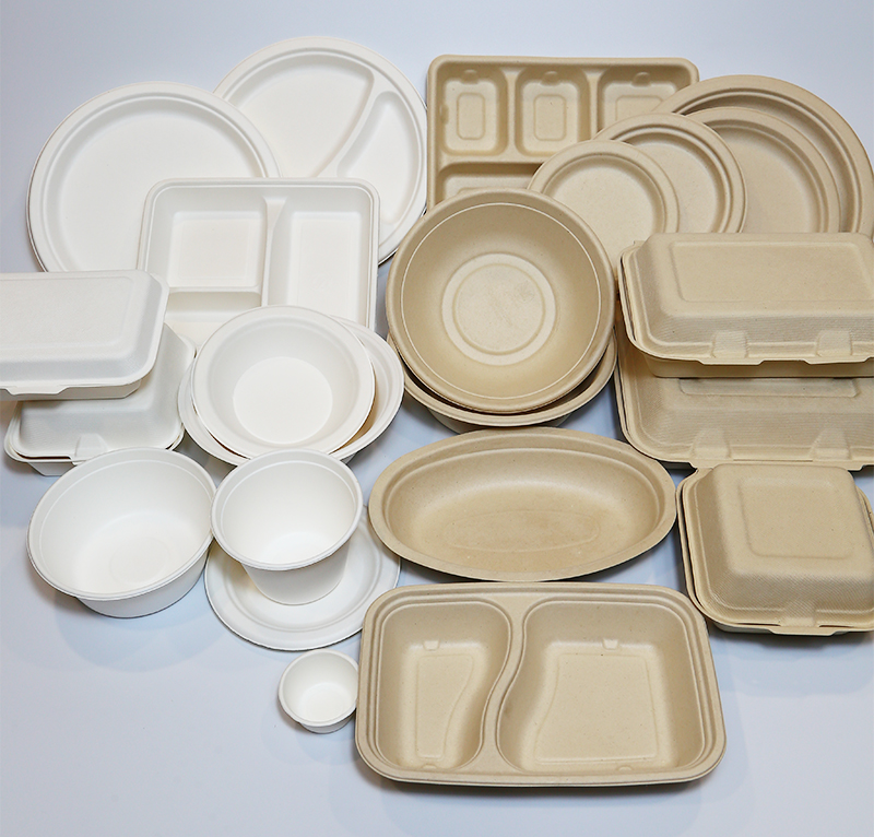 Sugercane bagasse bowl and plates