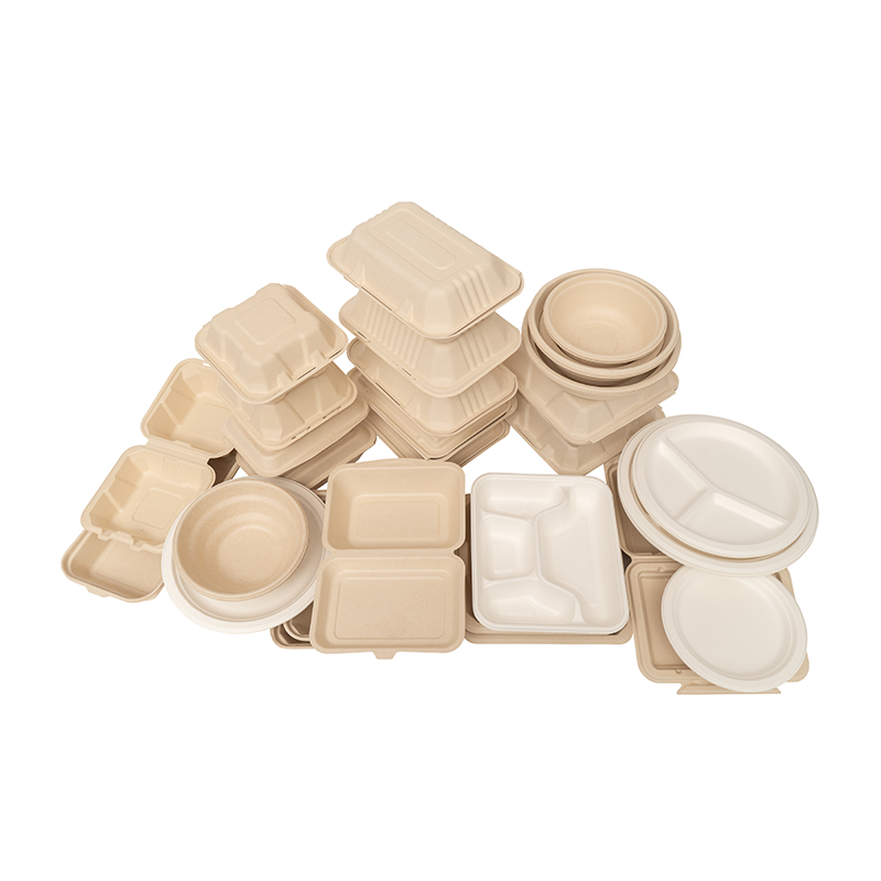 Bagasse sugarcane box