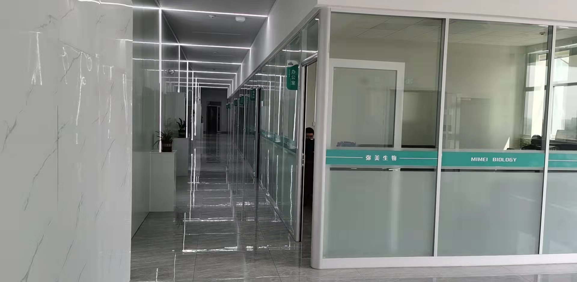 Shandong Mimei Biotechnology Co., Ltd. – Product photos 3