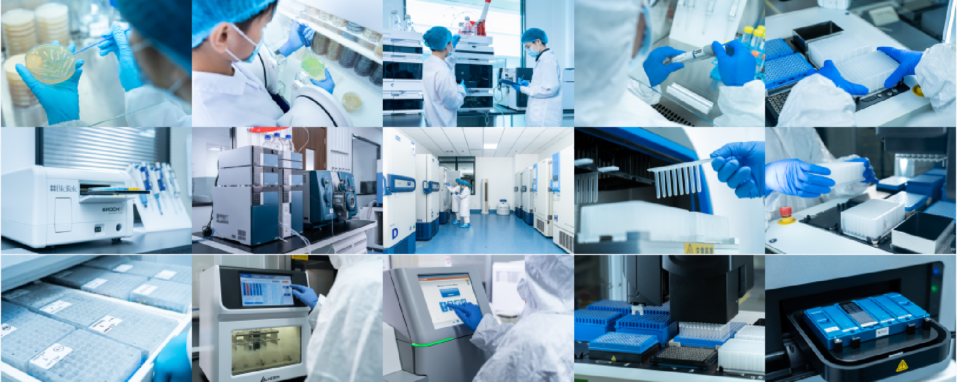 Guangdong Nanxin Medical Technology Co., Ltd. – crema hidratante 2