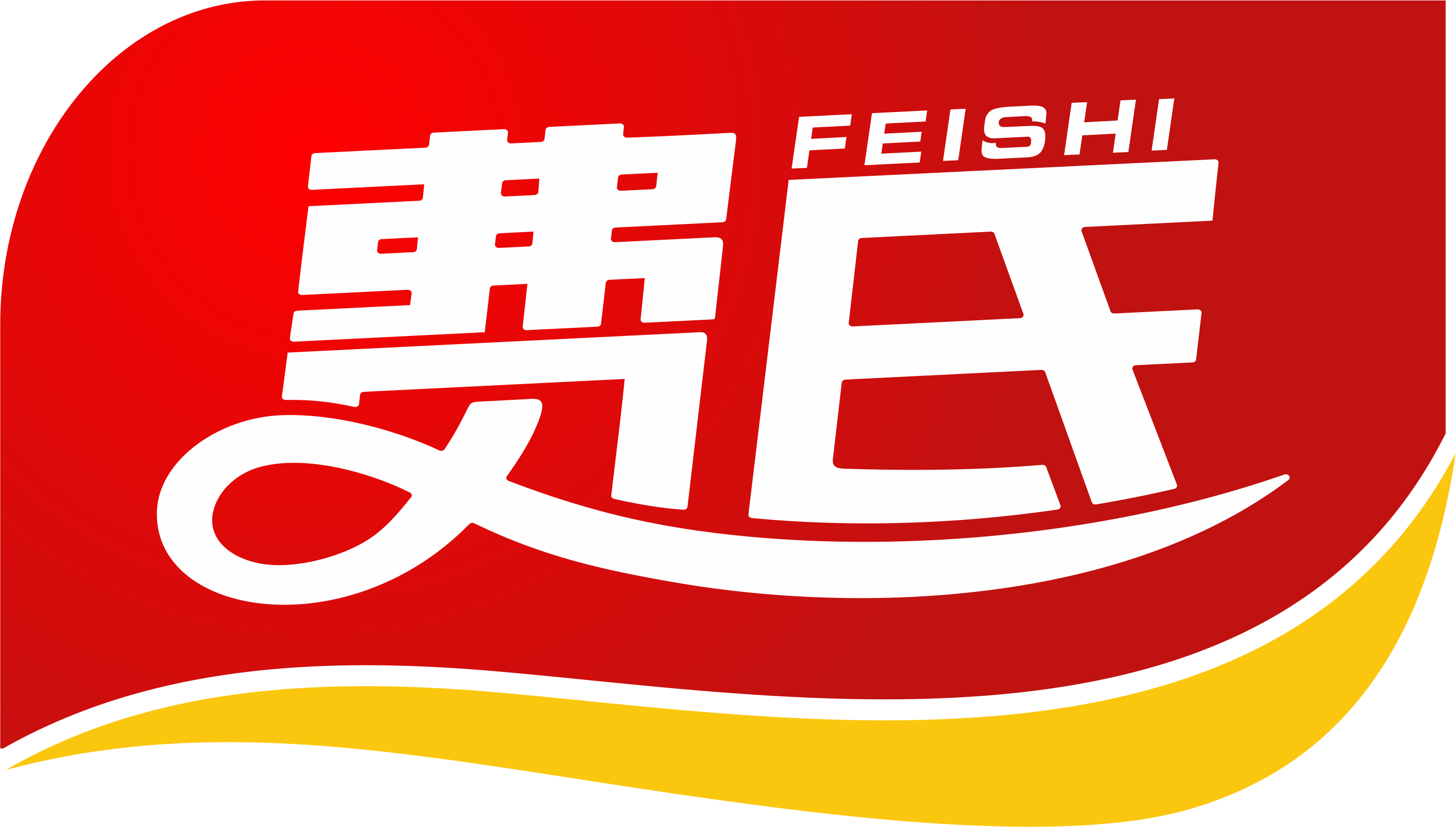 Jiangsu Feishi Group Co., Ltd.