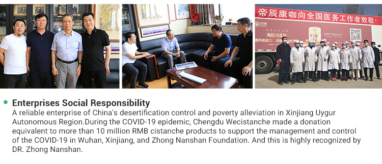 Chengdu Xiyuyu Cistanche Biotechnology Co., Ltd. – natural extract 1