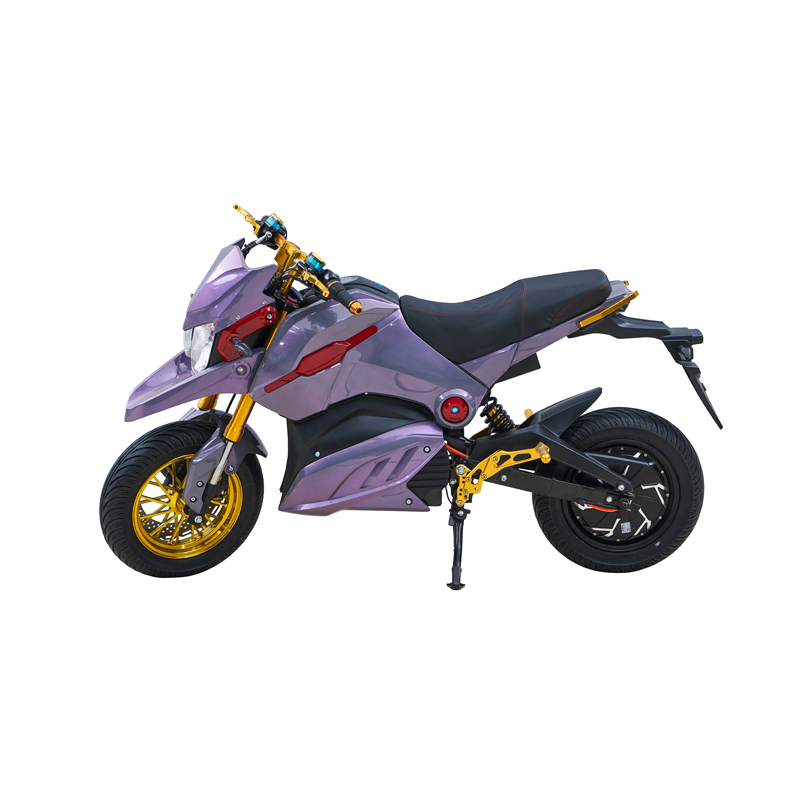BEIJING ERICHMAN TECHNOLOGY CO.LTD. – cadena de bicicleta 1