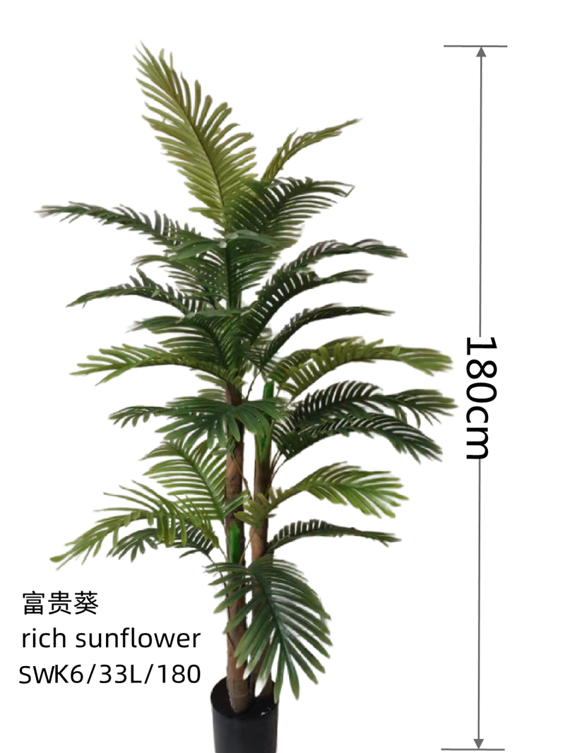 areca palm