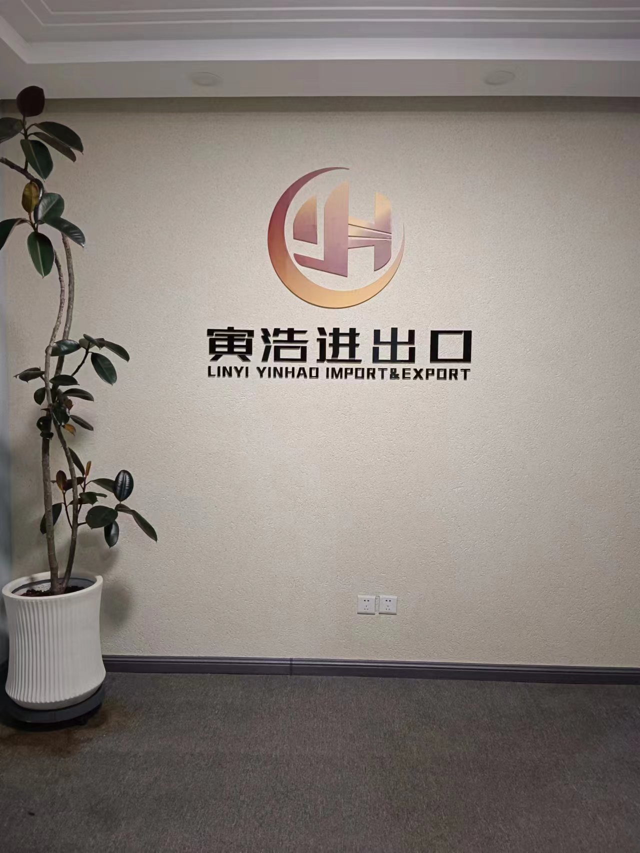 Linyi Yinhao Import and Export Co., Ltd. – building template 1