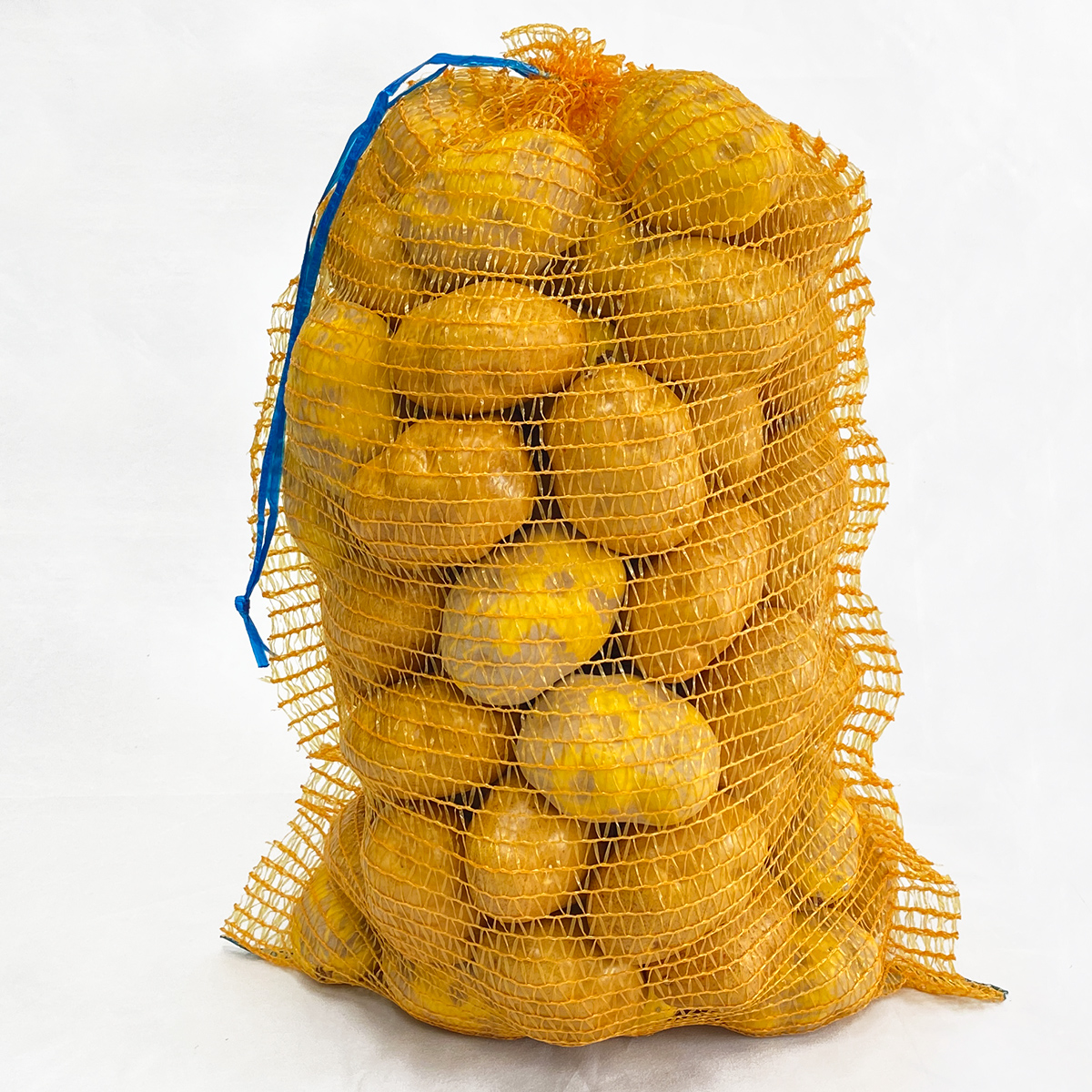Raschel mesh bag