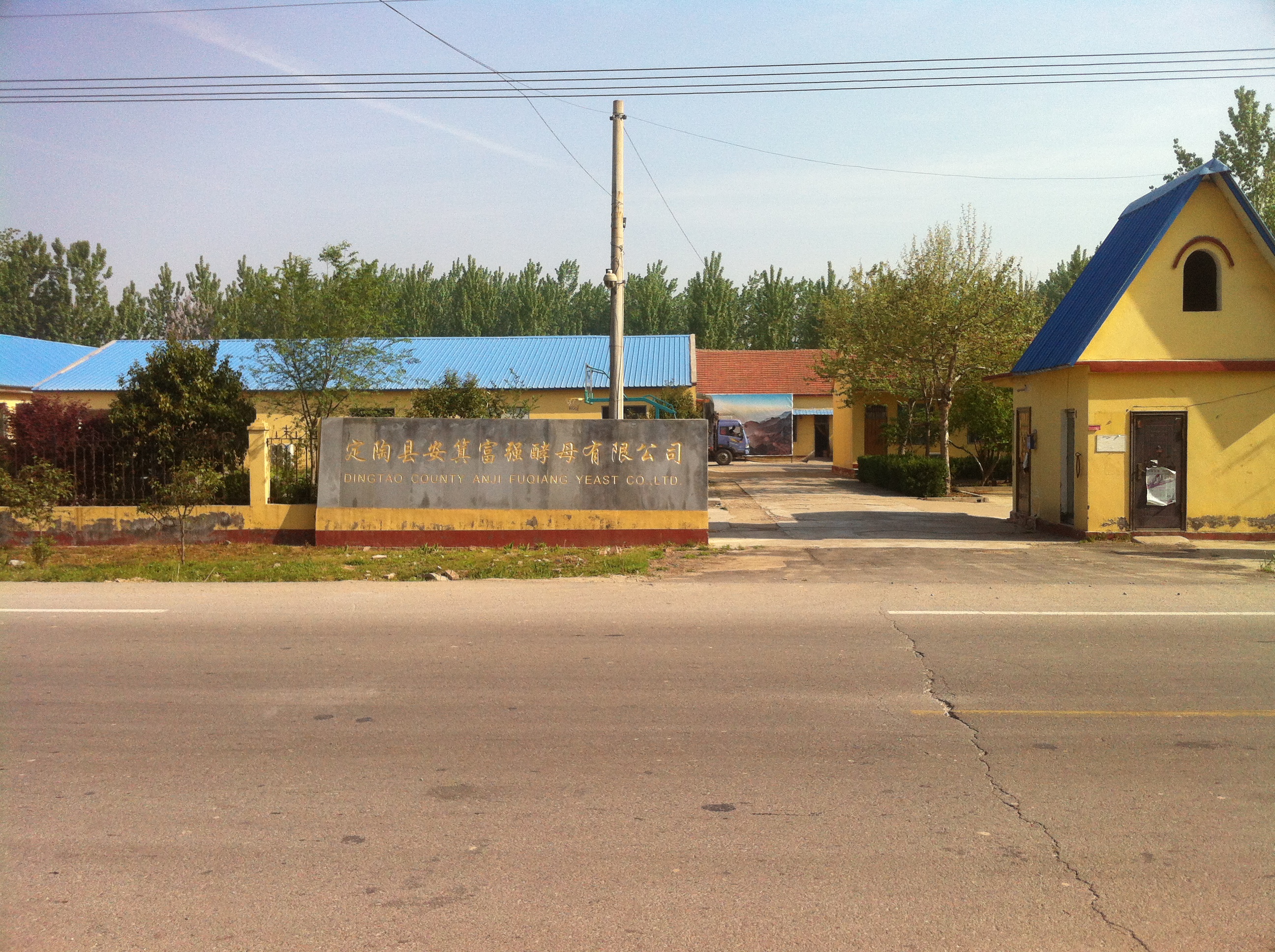 Dingao County Anji Fuqiang Yeast Co., Ltd. – café molido 1