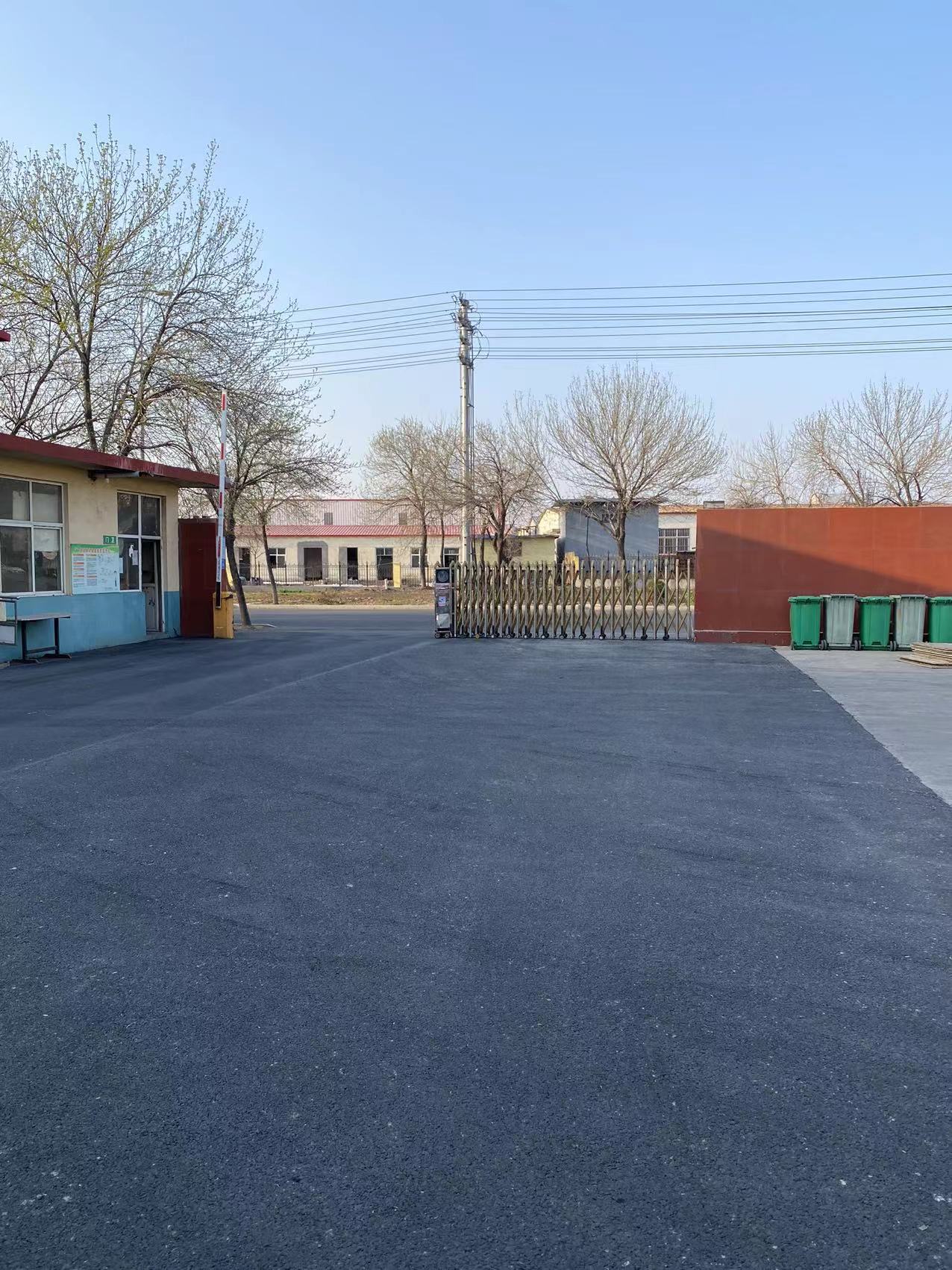 Linyi Changrong Wood Industry Co., Ltd. – semilla de tomate 2