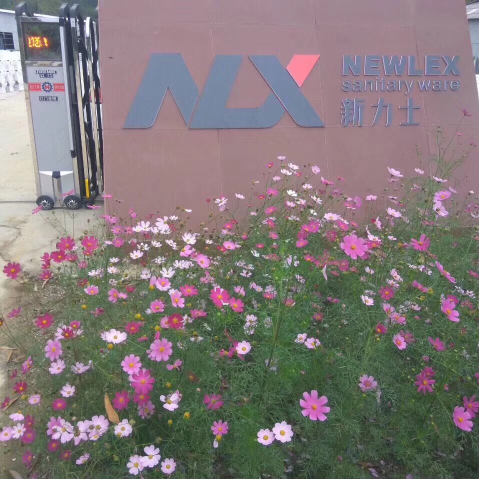 Chaozhou Chao'an District Guxiang Town Xinlishi Ceramic Factory – figura decorativa 1