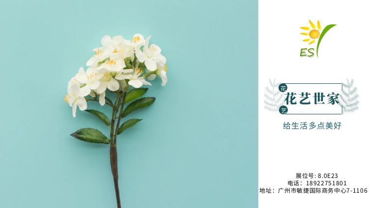 Guangzhou Youran Import and Export Co., Ltd. – Other flower seedlings 1