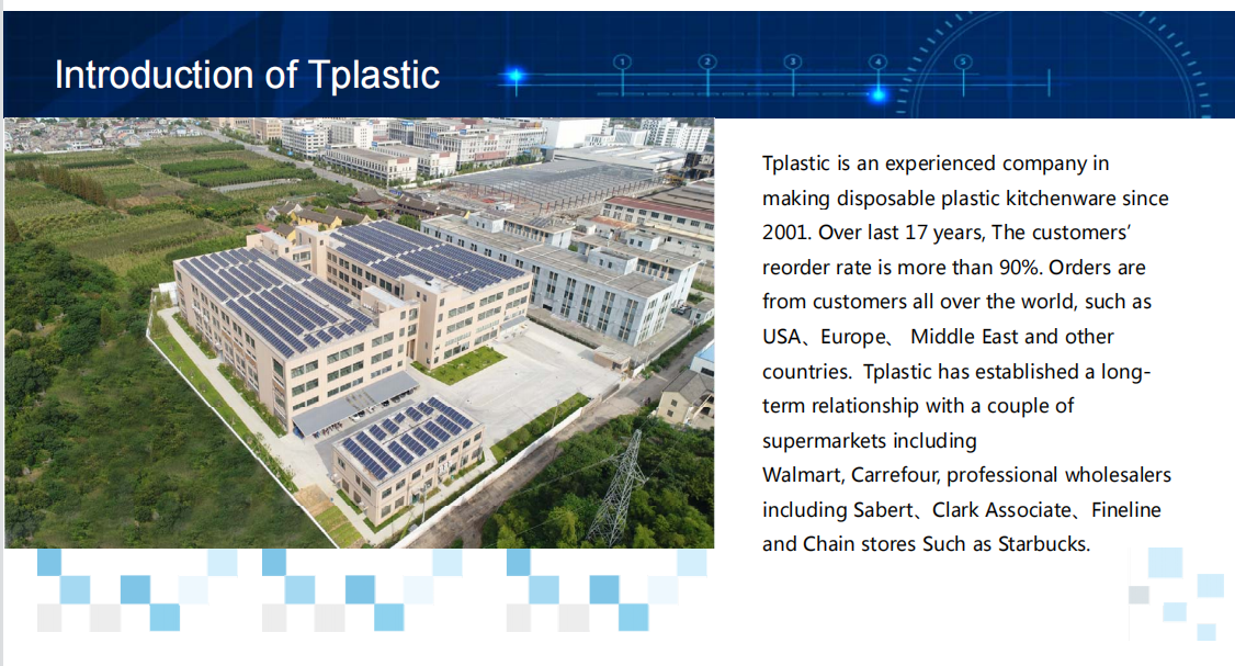 Ningbo Tang Plastic Daily Necessities Manufacturing Co., Ltd. – plato de cerámica 1