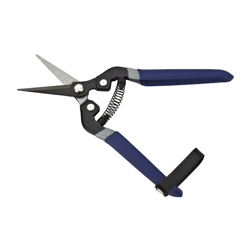 ZHEJIANG WUGU PAOSHIN INDUSTRIES CO.,LTD – portarretrato 3