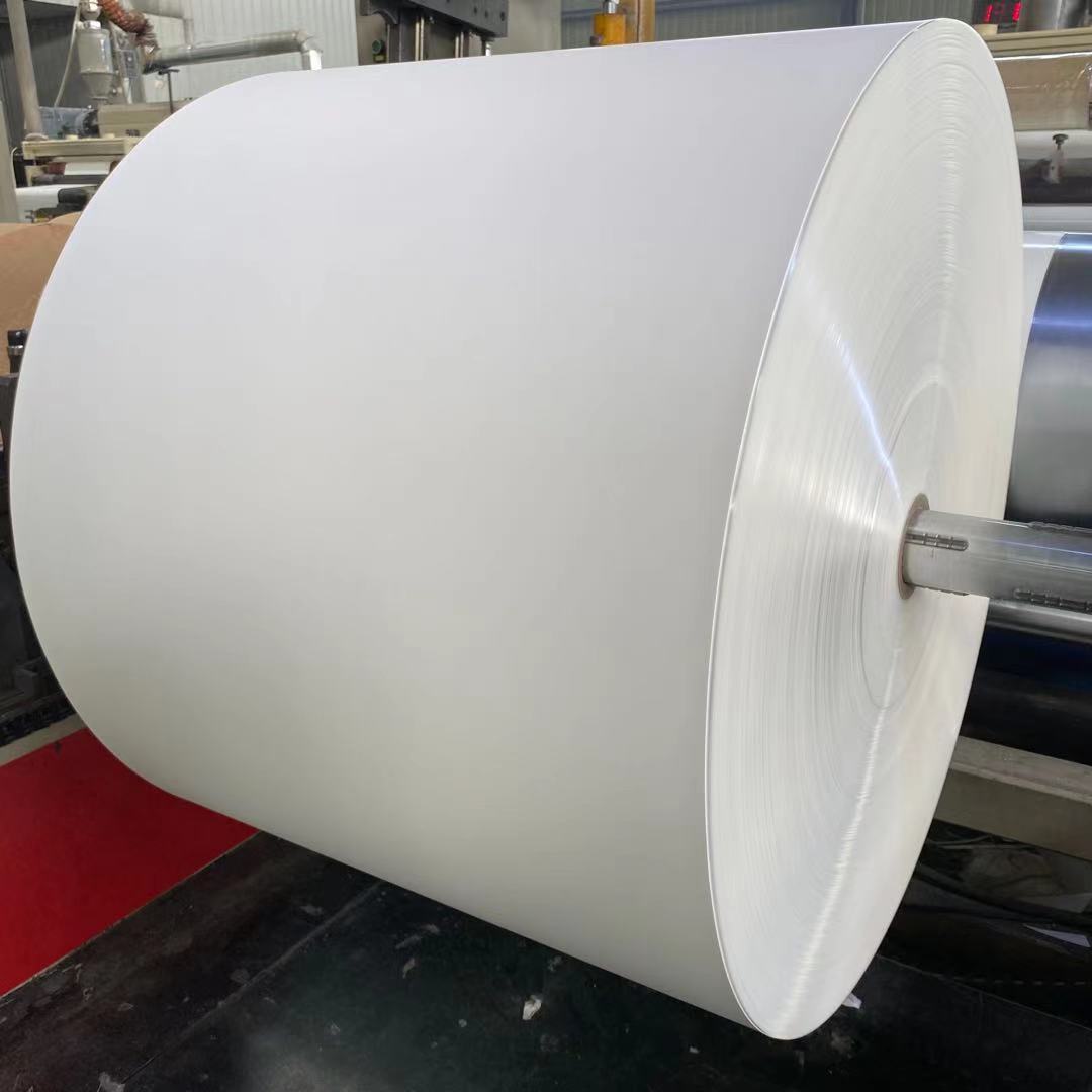 Pe Coated Paper