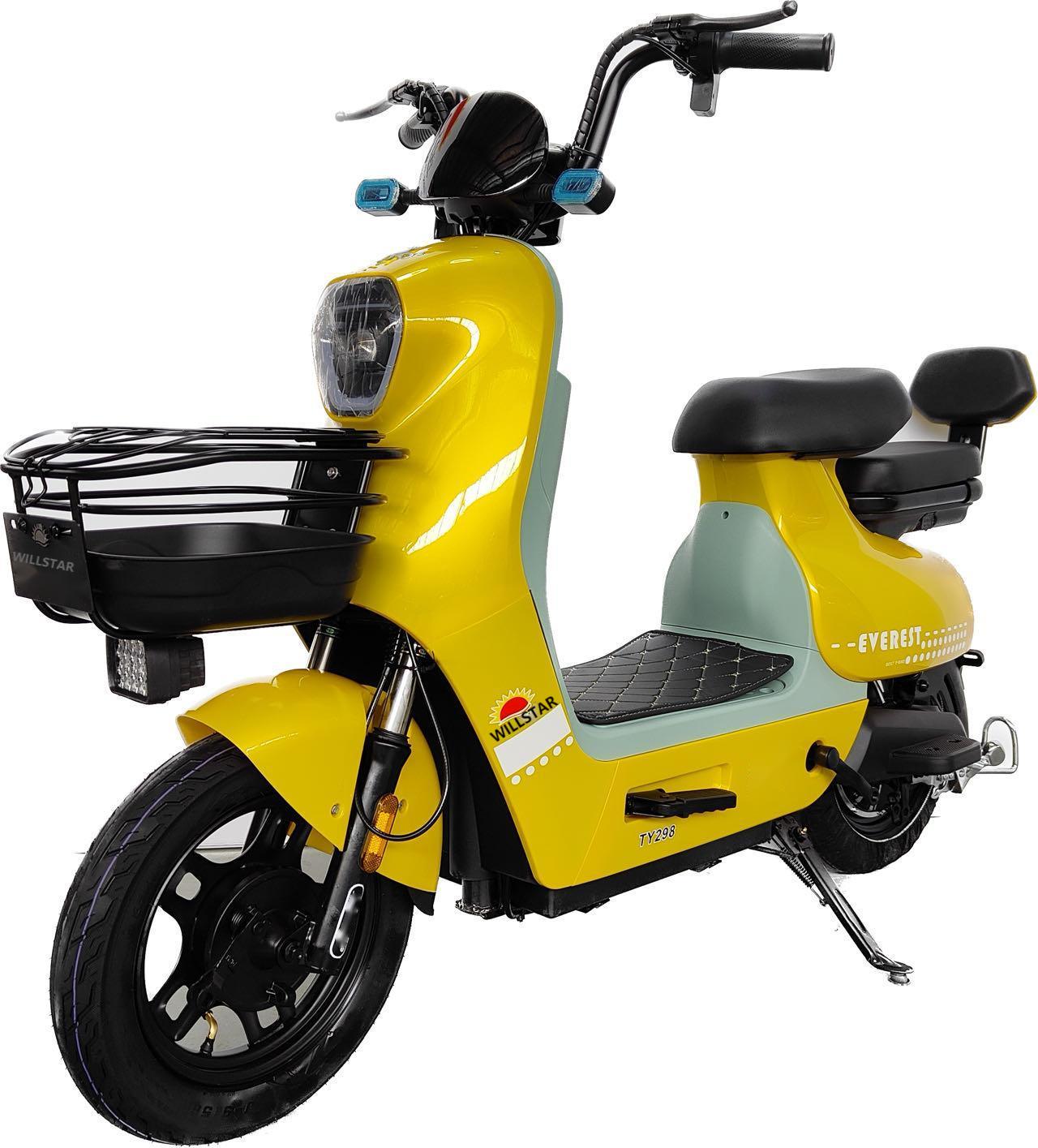 Willstar Electric Bicycle