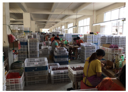 Fujian Dehua Jiabo Handicrafts Co., Ltd. – portarretrato 3