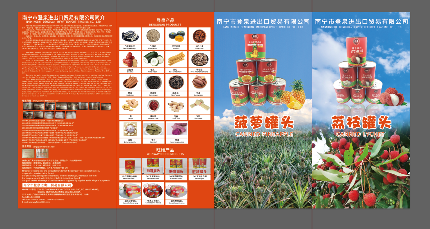 Nanning Dengquan Import and Export Trading Co., Ltd. – Frozen fruits 1