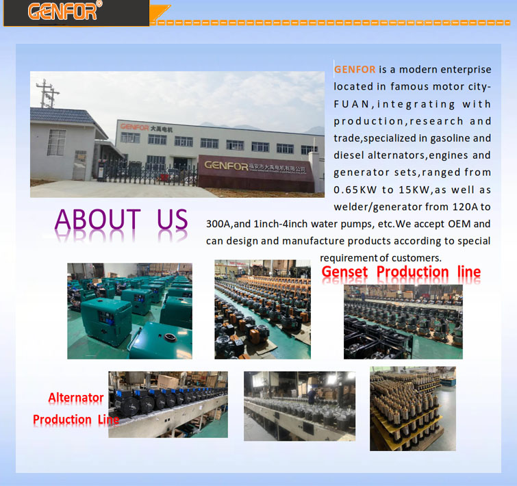Fu'an Dayu Electric Motor Co., Ltd. – AC motors 1
