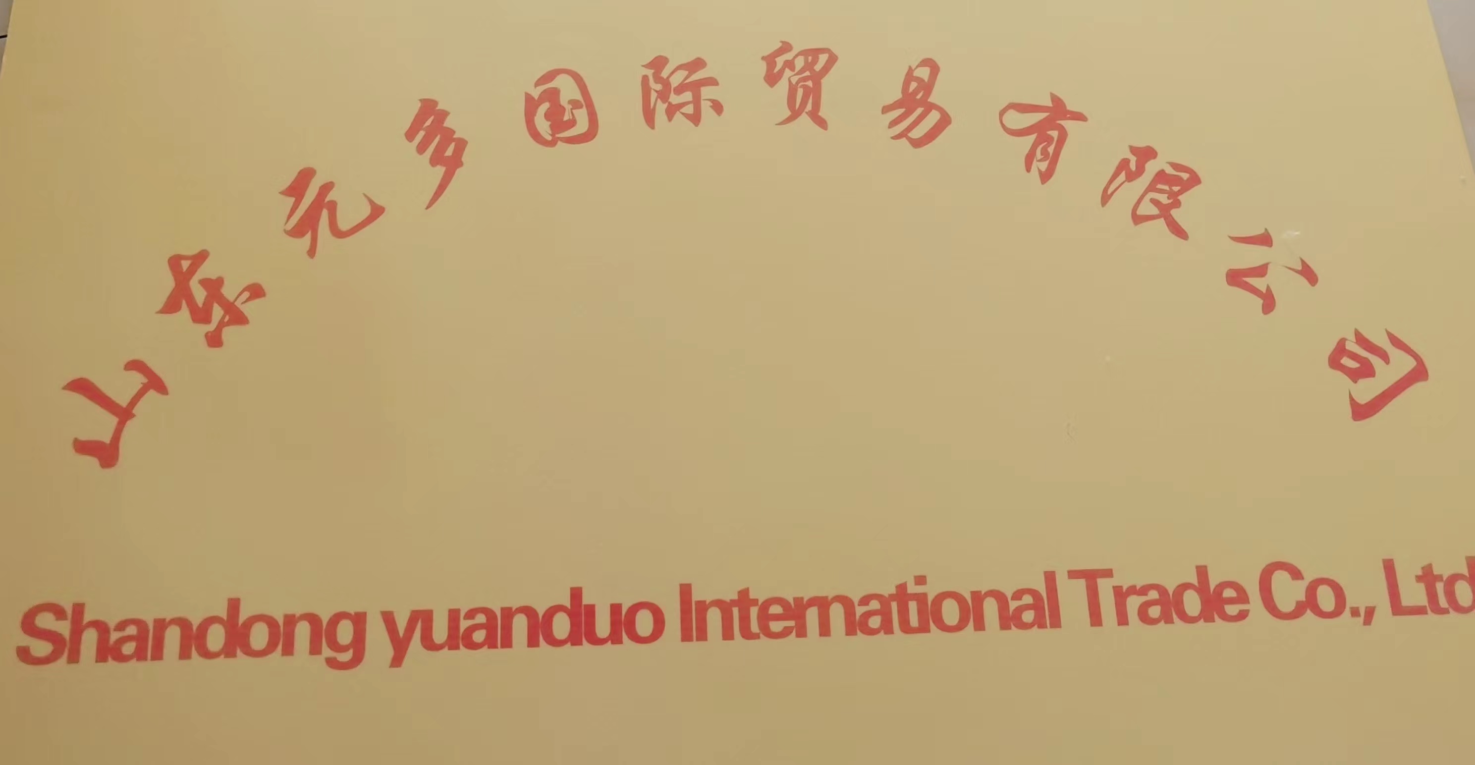 Shandong Yuanduo International Trading Co., Ltd. – motor eléctrico 1