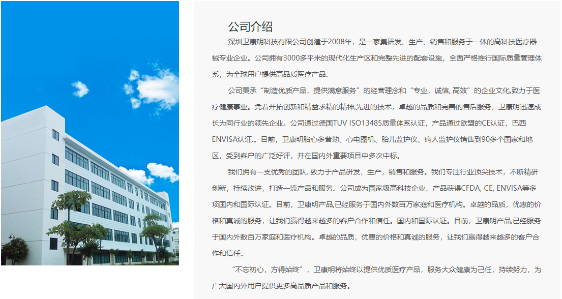 Shenzhen Weikang Ming Technology Co., Ltd. – pastilla de freno 2