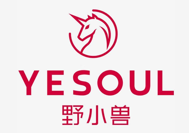 FUJIAN YESOUL HEALTH TECHNOLOGY CO., LTD