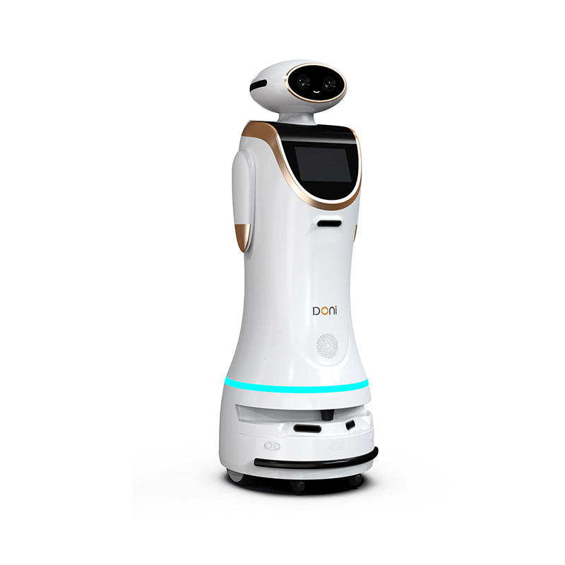Intelligent mobile security robot AF12