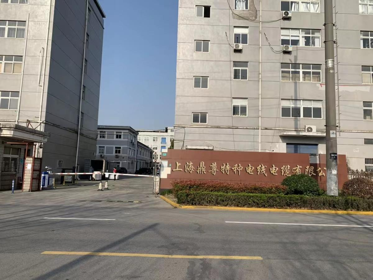 Shanghai Dingzun Special Wire and Cable Co., Ltd. – 线缆 1