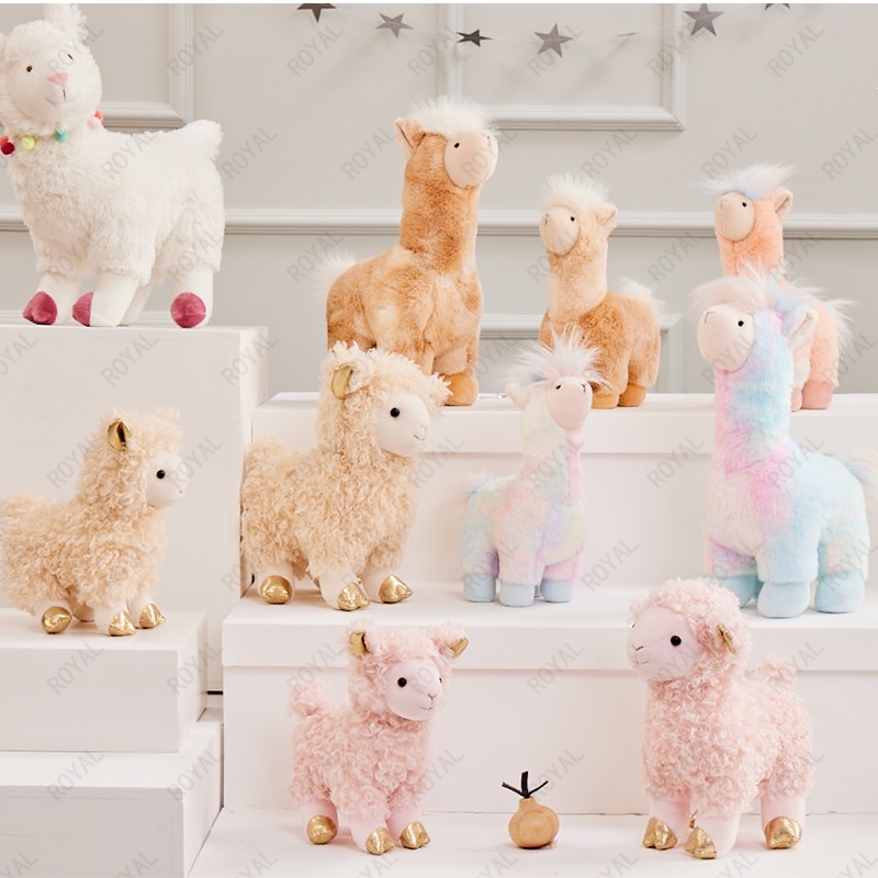 Shanghai Royal Lifestyle Co.,Ltd – Product photos 3