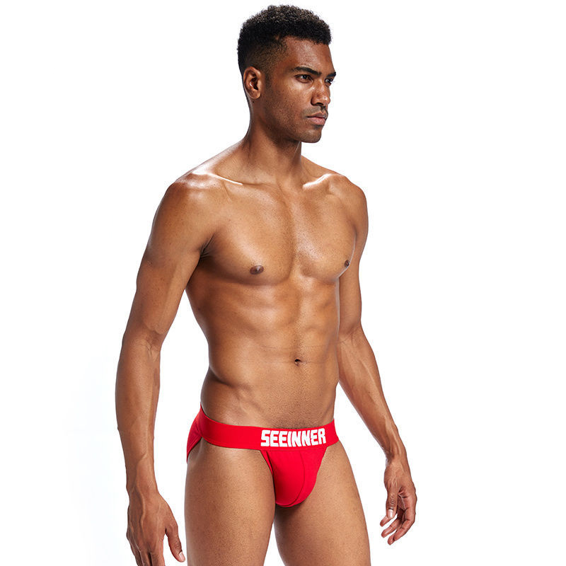 Men's briefs stretch cotton sexy low rise comfortable sports breathable panties
