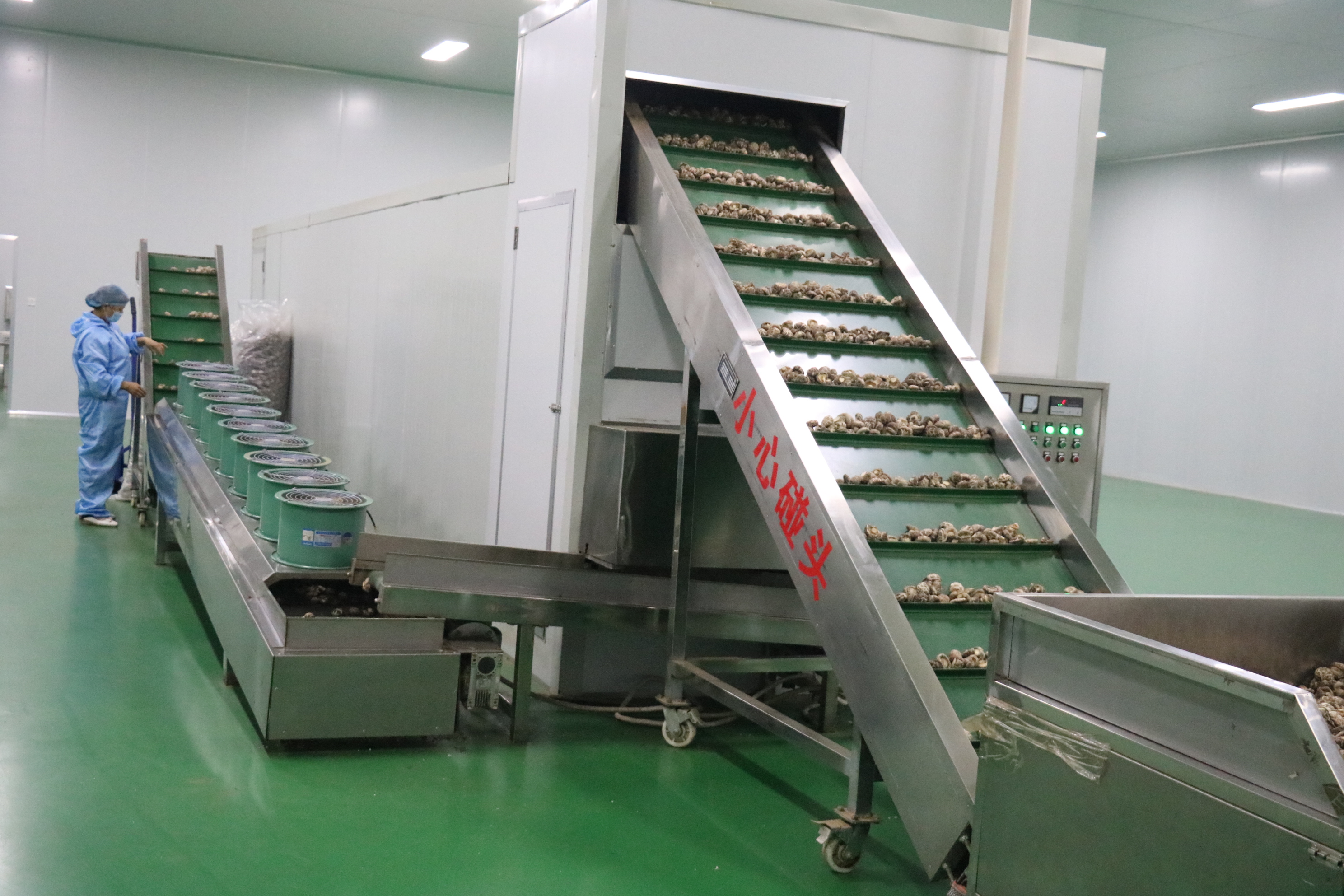 Hubei Aimogu Food Technology Co., Ltd. – té negro 2
