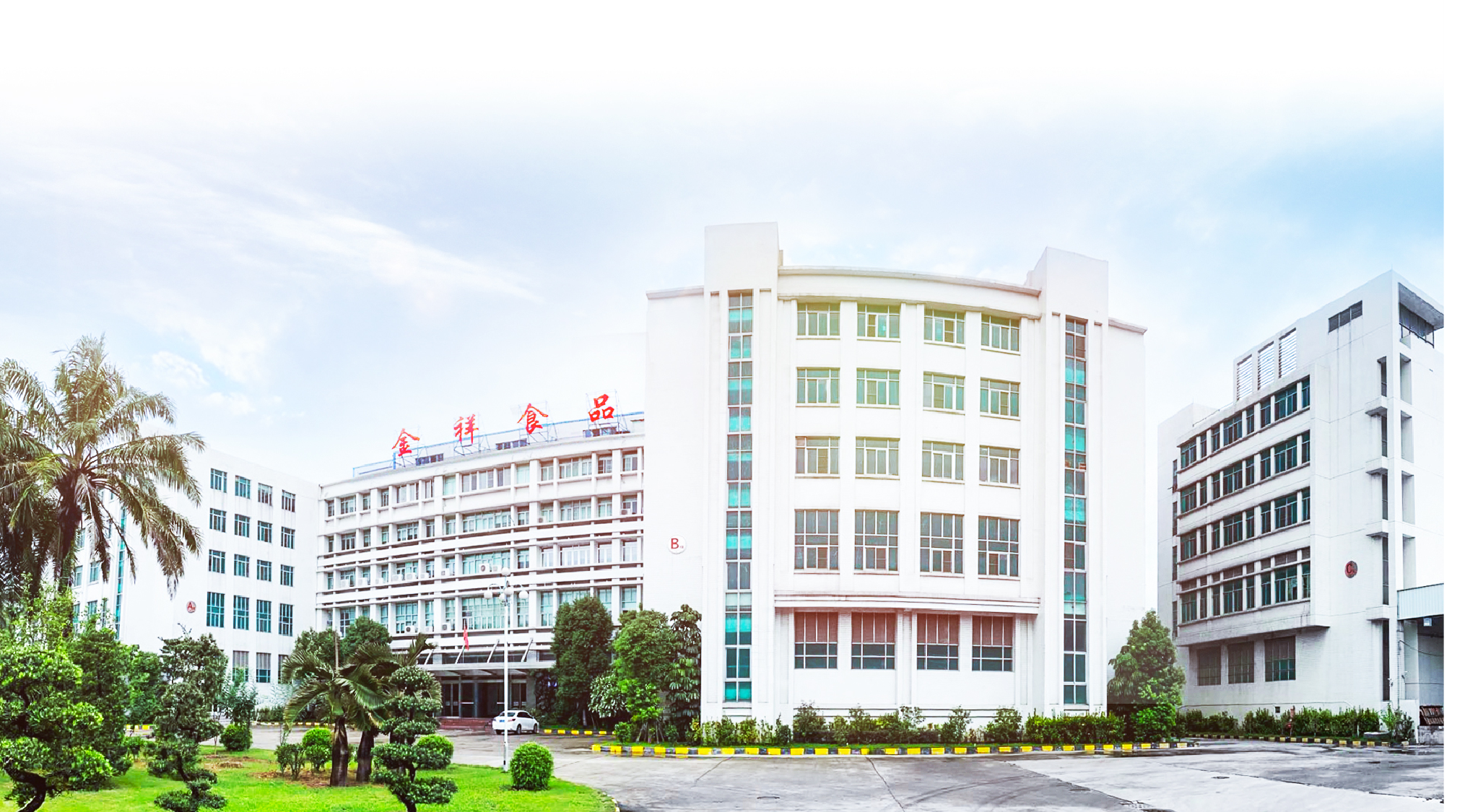 Guangdong Jinxiang Food Co., Ltd. – Breakfast cereals 1