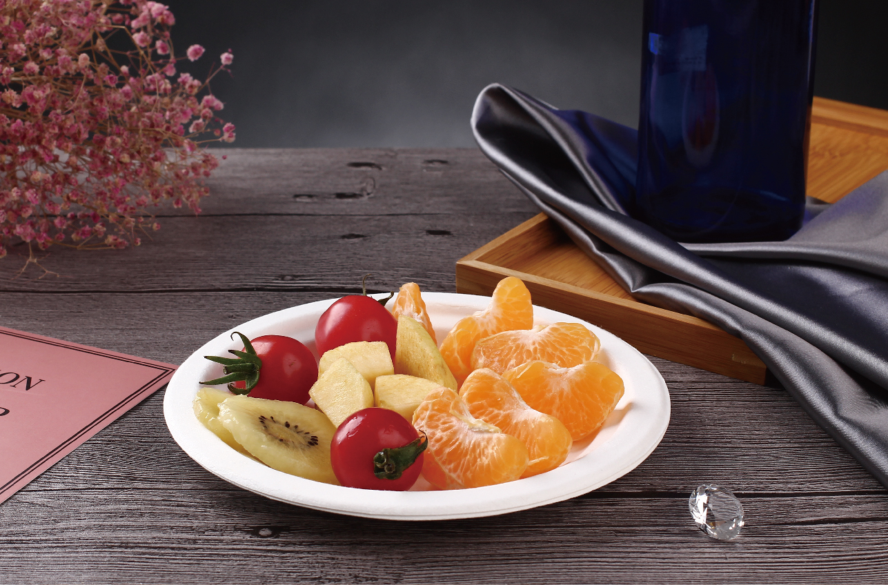 KYD Bagasse Tray