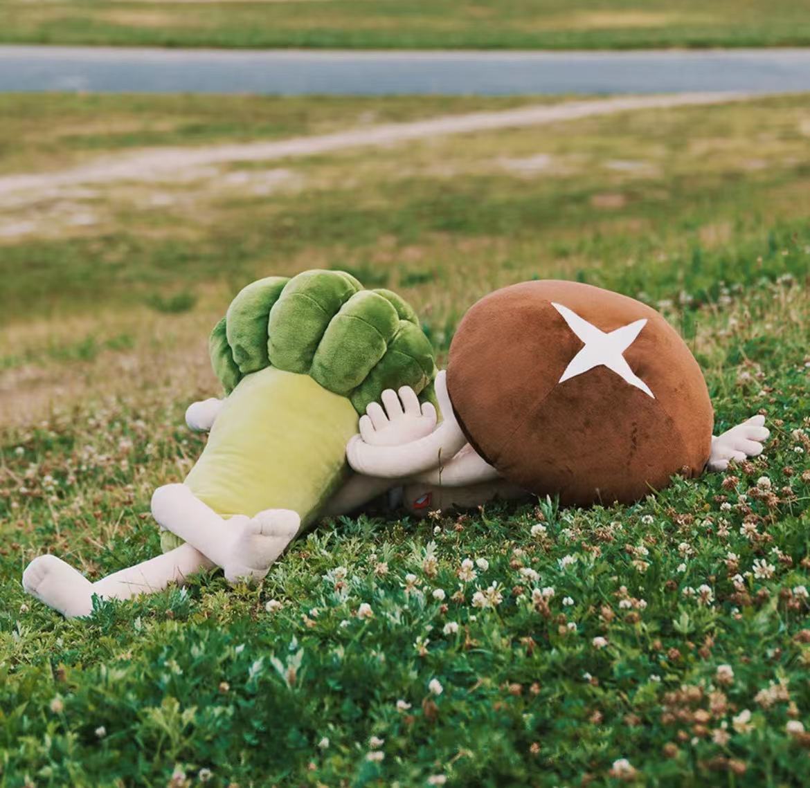 Funny pillow