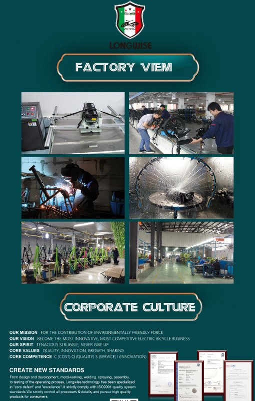 Zhejiang Longhui Technology Co., Ltd. – electric tricycles 3