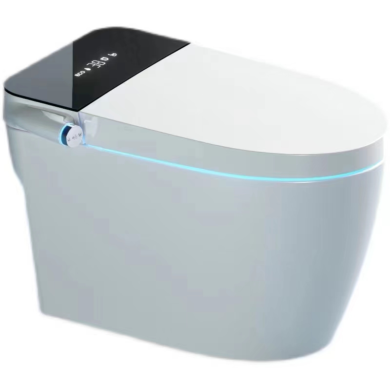 Smart Toilet