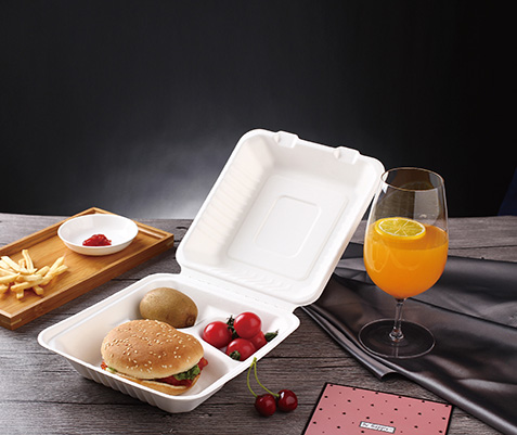 KYD Bagasse Box